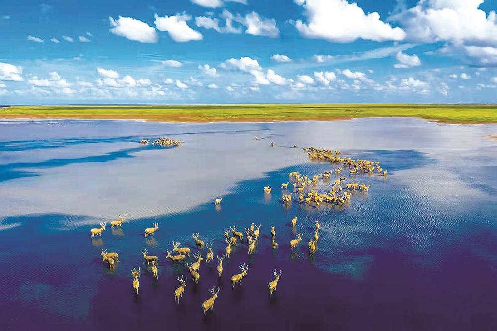 江苏盐城领略蓝色魅力共护美丽海洋