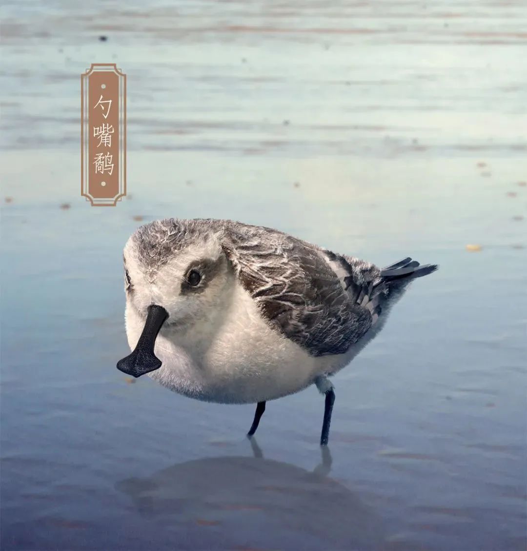 黄海湿地"吉祥三宝"数字藏品全球首发-盐城新闻网