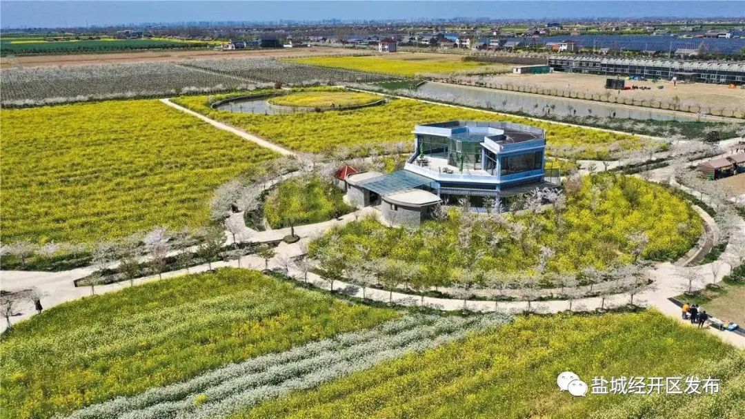 盐城经开区这个村获评省级特色田园乡村