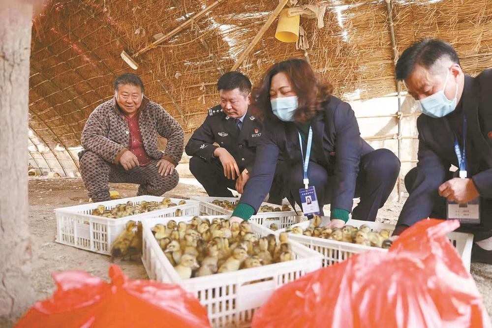 只进一扇门可解万般事金牌调解员开展家门口式解纷服务