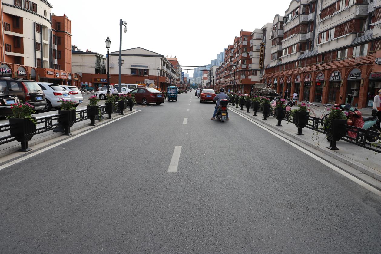 新河街道鲜花扮靓城市风景