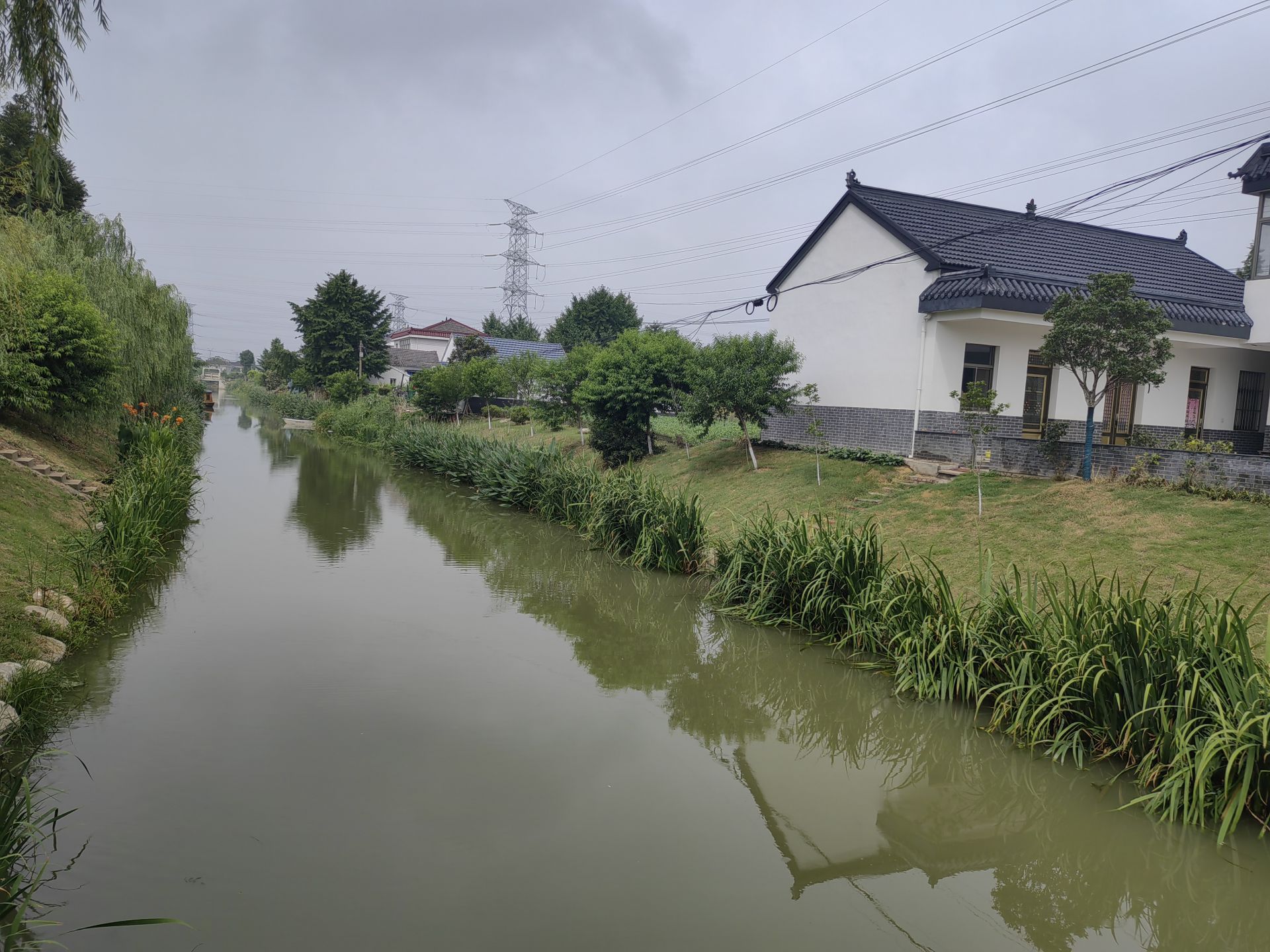 洋湾村日常维护的河道亭湖区农村人居环境管护改革试点在便仓.