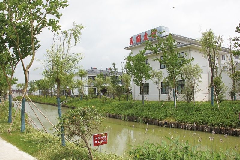 江苏大丰美丽乡村焕新颜绘就和谐新图景