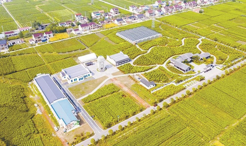 江苏东台:安丰富安两古镇入选2022年省级地名文化遗产