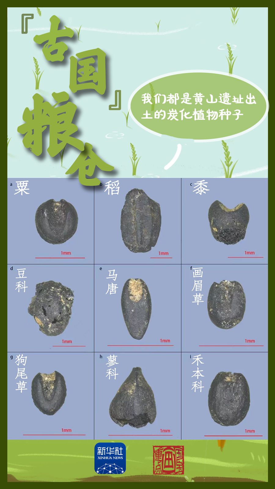 国宝画重点丨中原有粮,稻粟满仓!-盐城新闻网