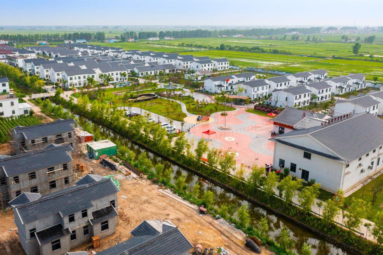 临海镇为村级组织减负助推乡村振兴