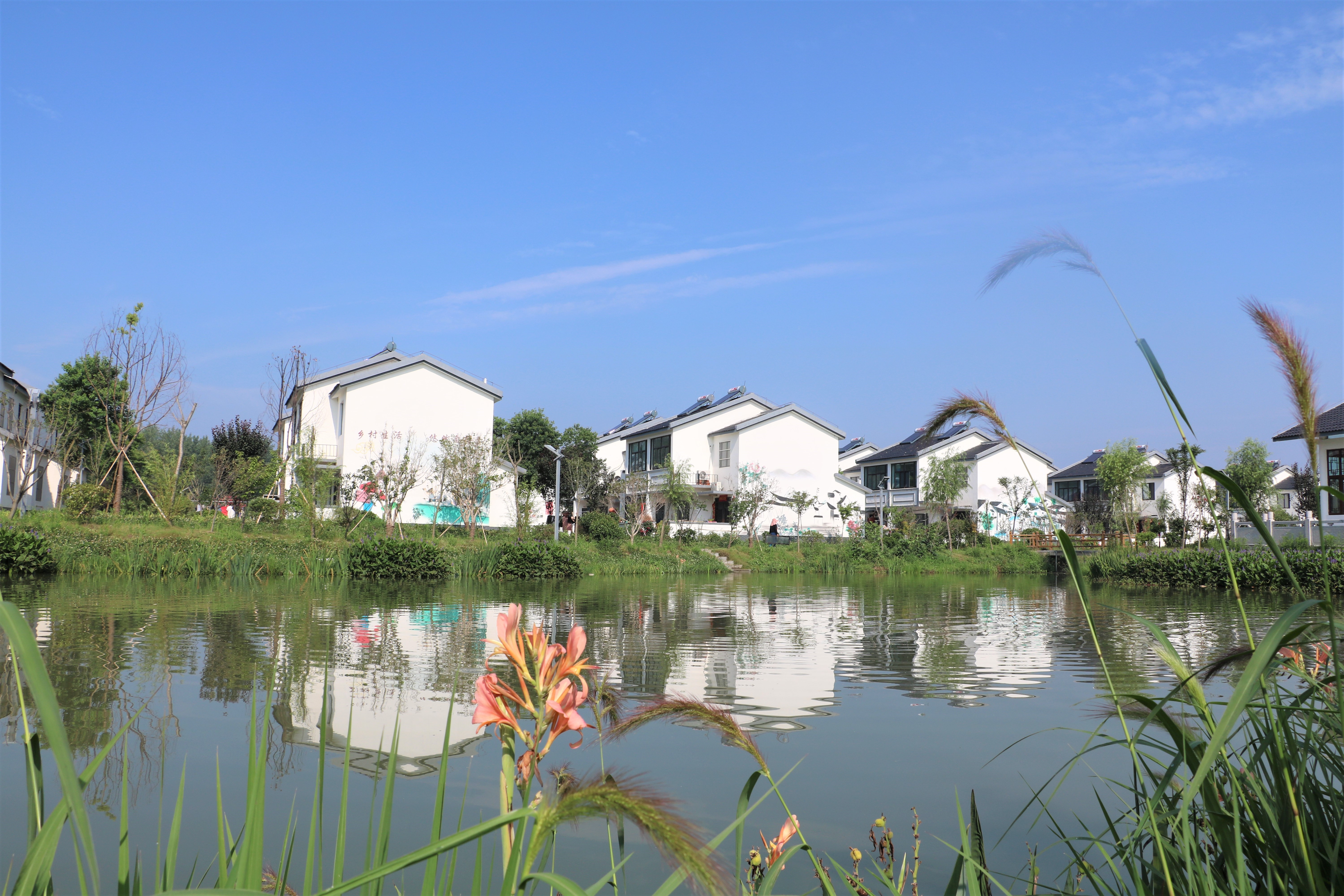 首页>县域>建湖>正文>近年来,建湖县高作镇积极践行生态发展理念,加速