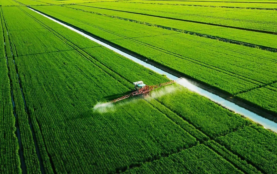 江苏盐南高新区:走"绿色"发展之路,现代农业助力乡村蝶变-盐城新闻网