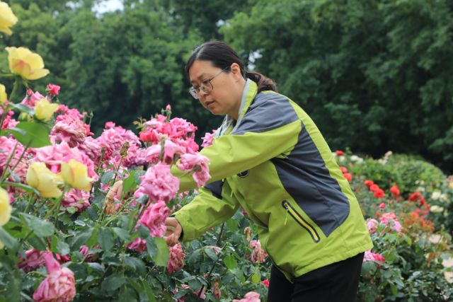 常州护花使者支秋娟