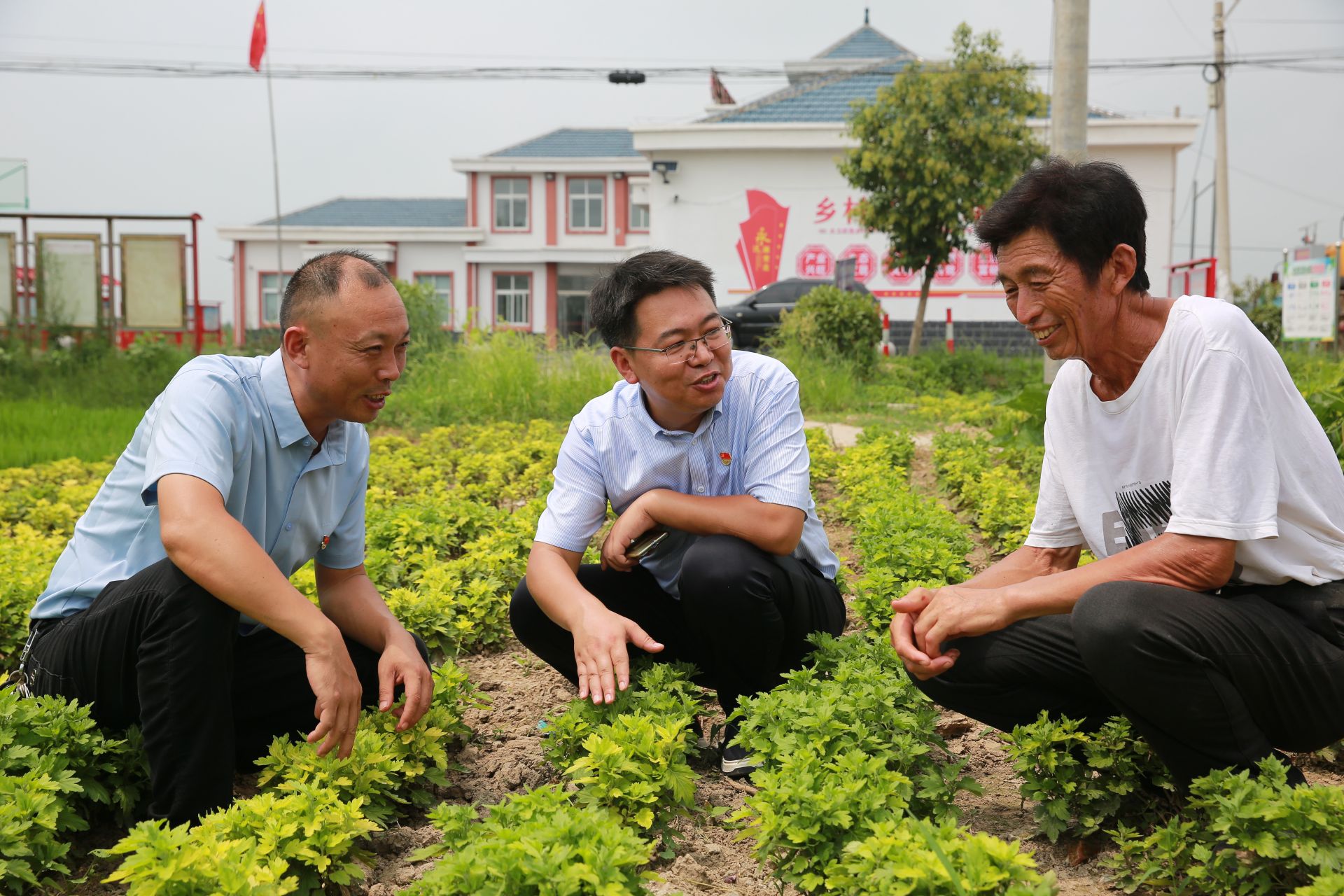 诚心换真心实干促振兴记响水县小尖镇姜圩村驻村第一书记童黎