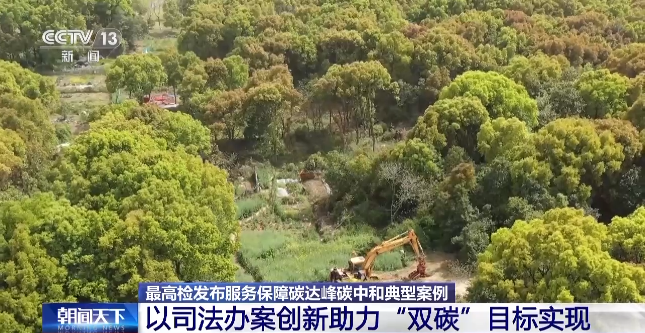 生态损害如何赔偿?最高检:探索“司法+碳汇”等替代性修复方式 -盐城新闻网