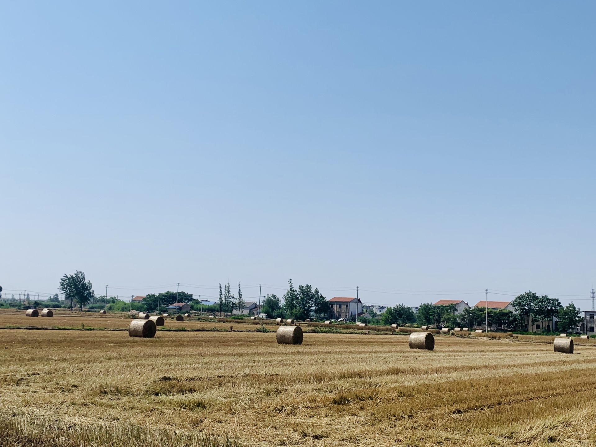 首页>县域>正文>6月8日下午,在陈良镇成俊村s231