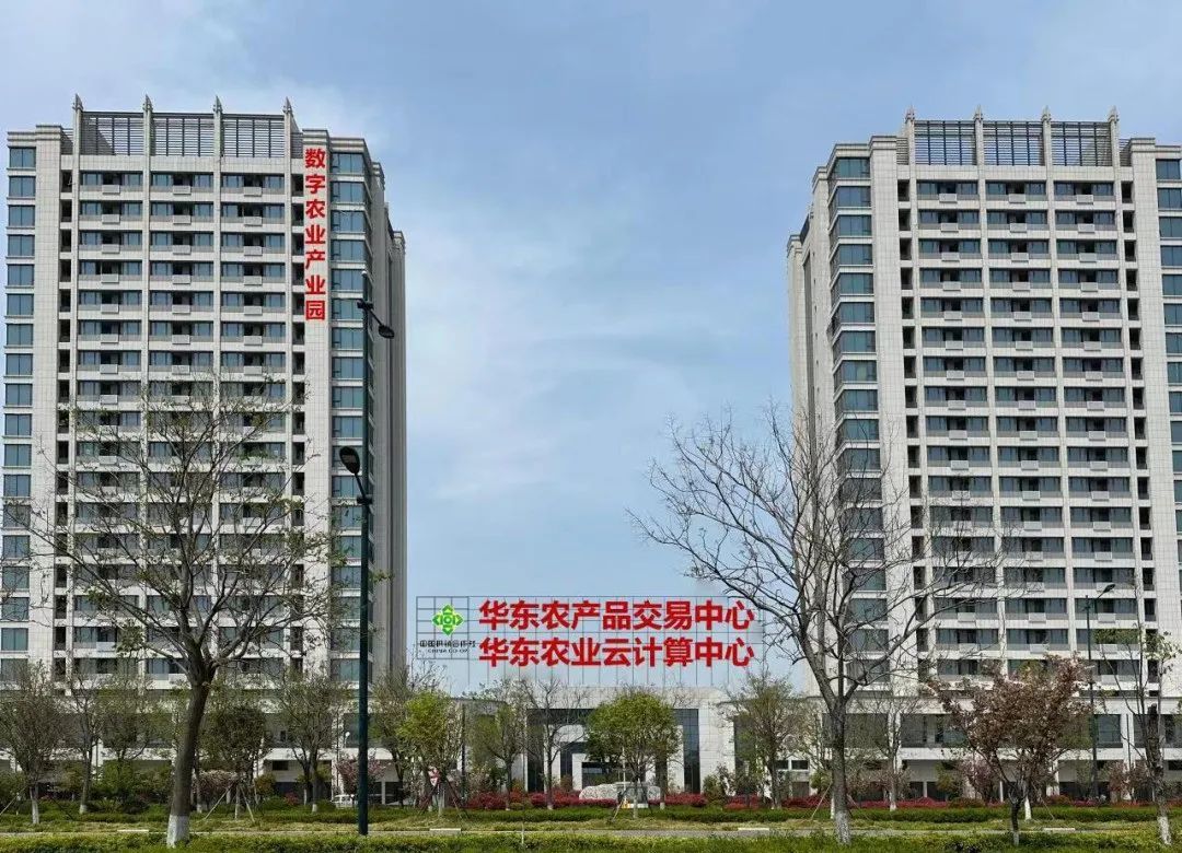 盐城农产品批发全指南：从采购渠道到配送服务的实用攻略
