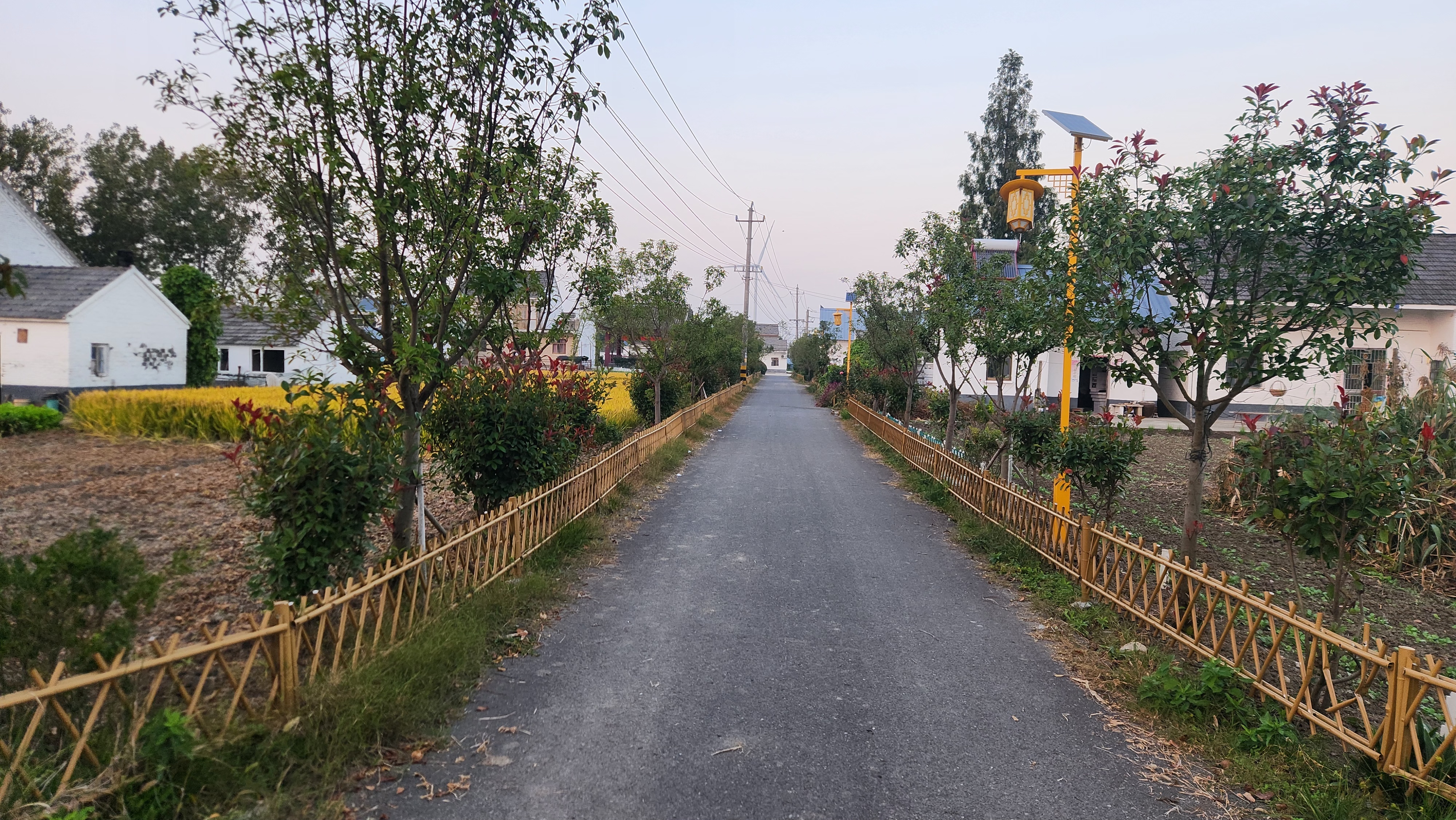完美电竞阜宁高新区重抓人居环境擦亮水美乡村(图2)