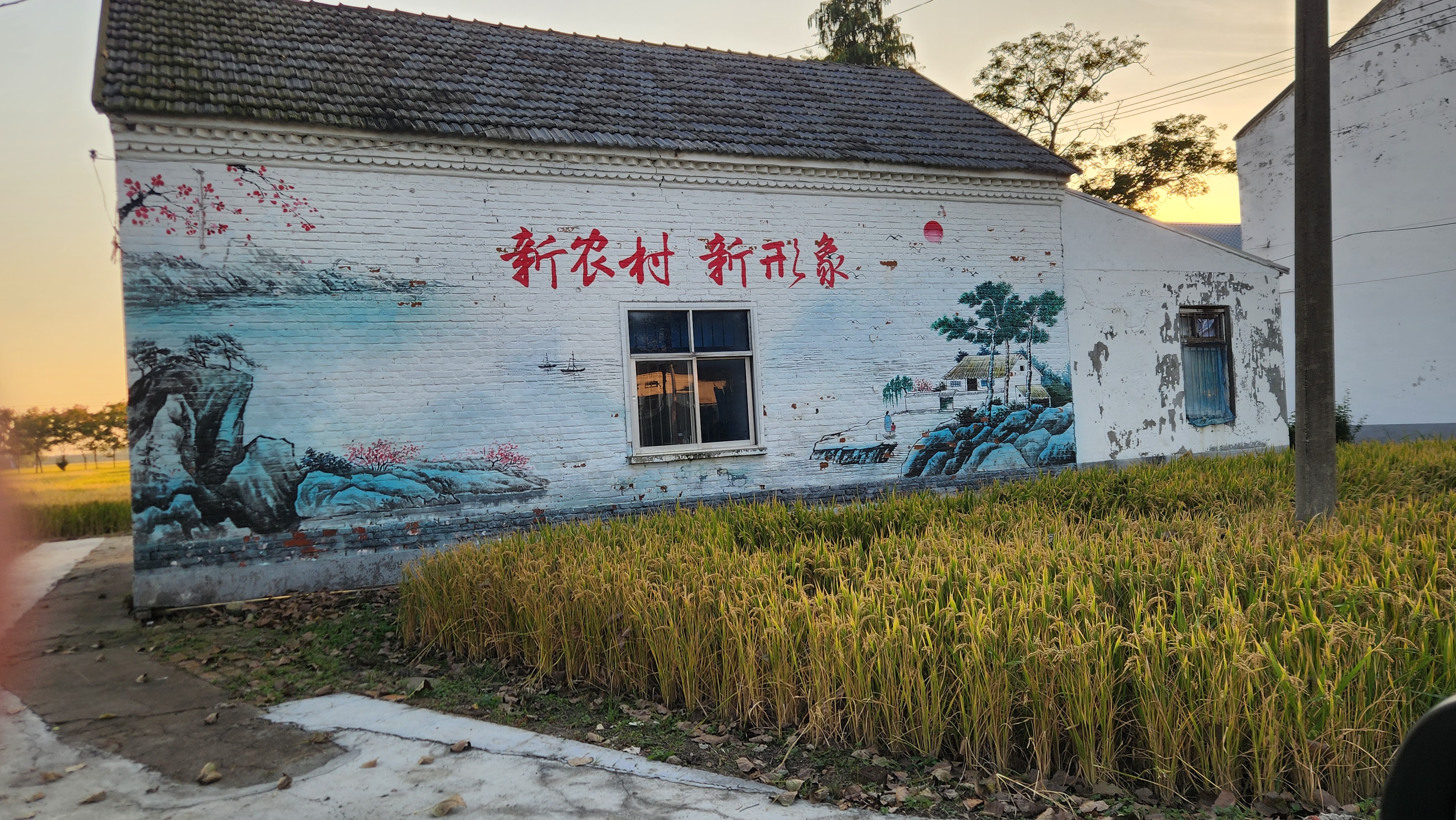 完美电竞阜宁高新区重抓人居环境擦亮水美乡村