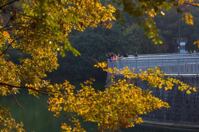平桥石坝造福百姓的水利项目成为著名景点