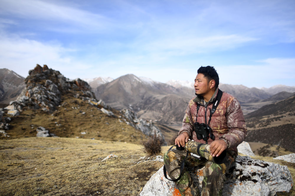 寻豹六年青海牧民摄影师们捧起金鸡奖