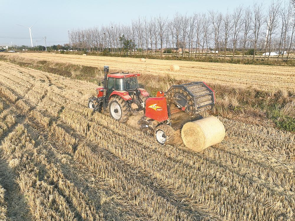 秸秆出口-盐城新闻网
