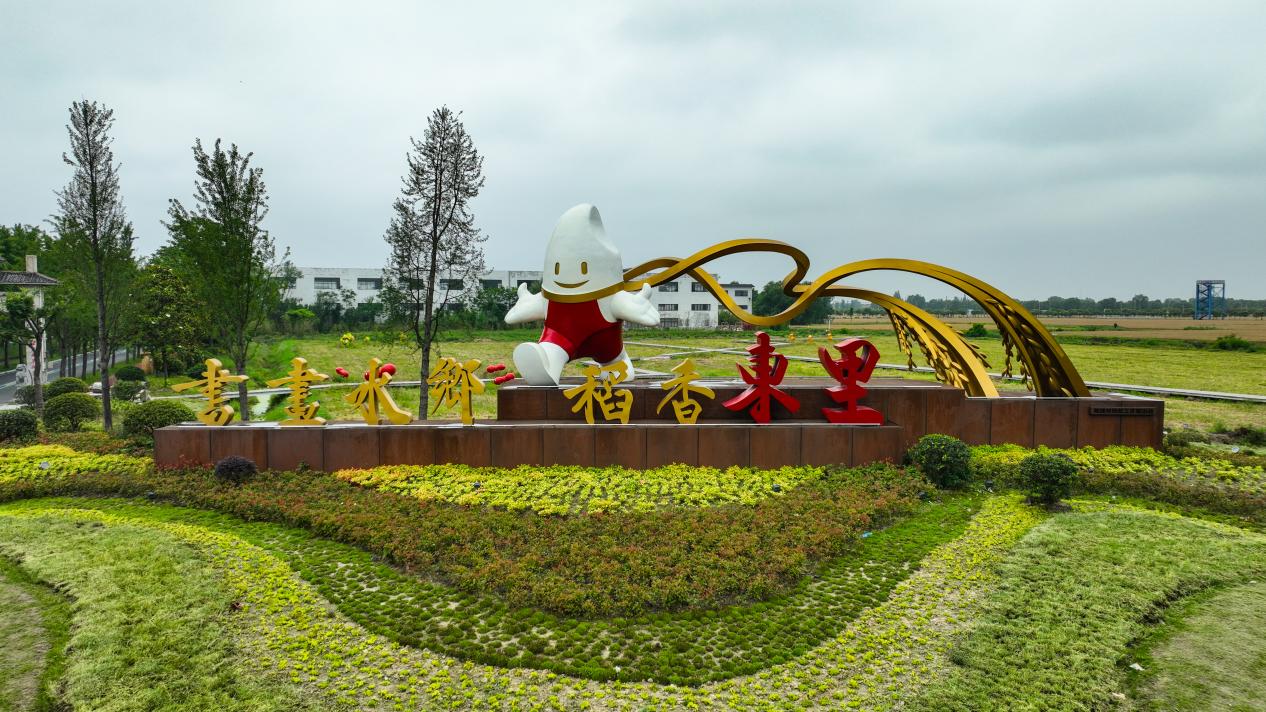 江苏东台推进高标准农田建设筑牢乡村振兴耕基