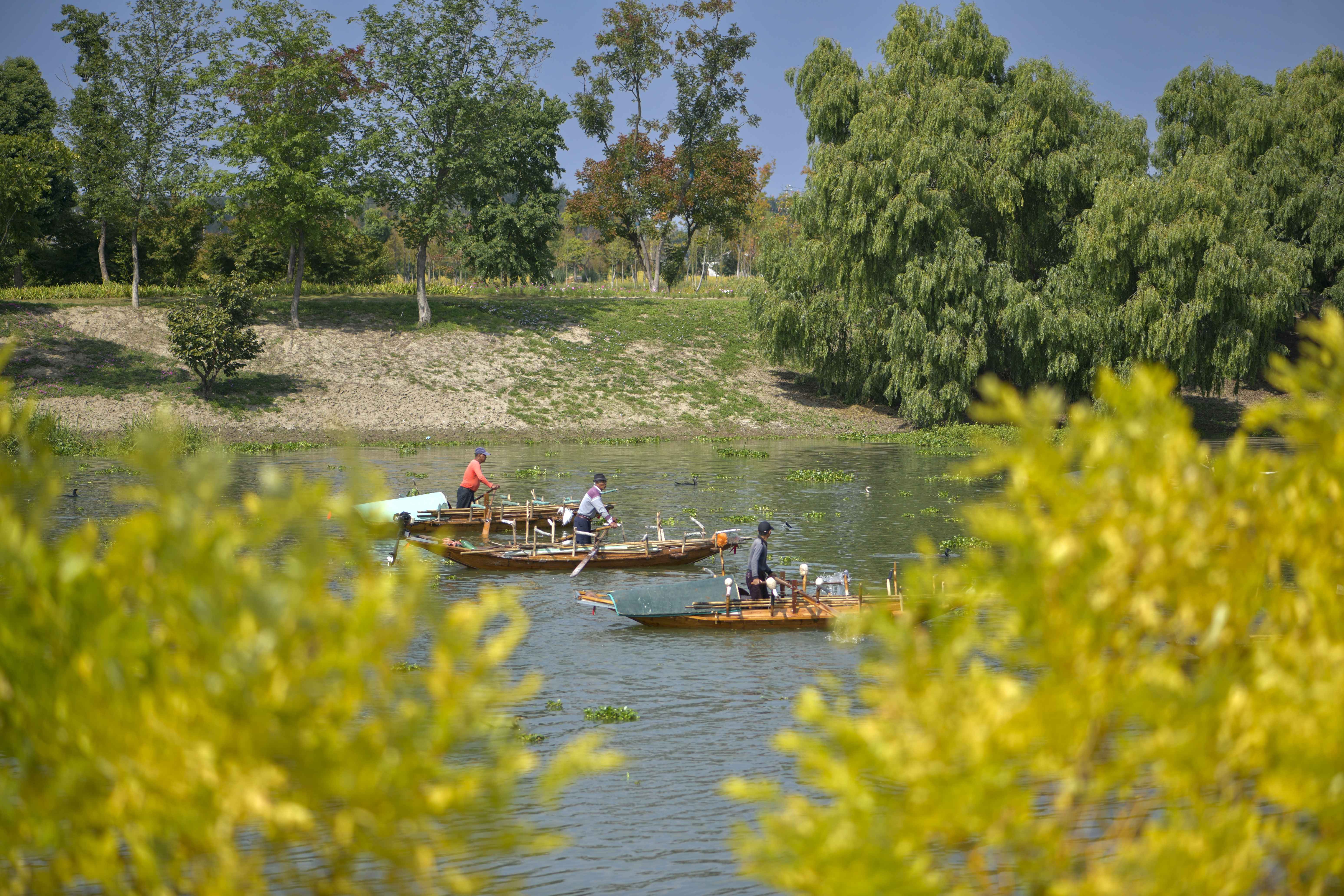 影像盐城蟒蛇河水蜿蜒过悠悠风景入画来