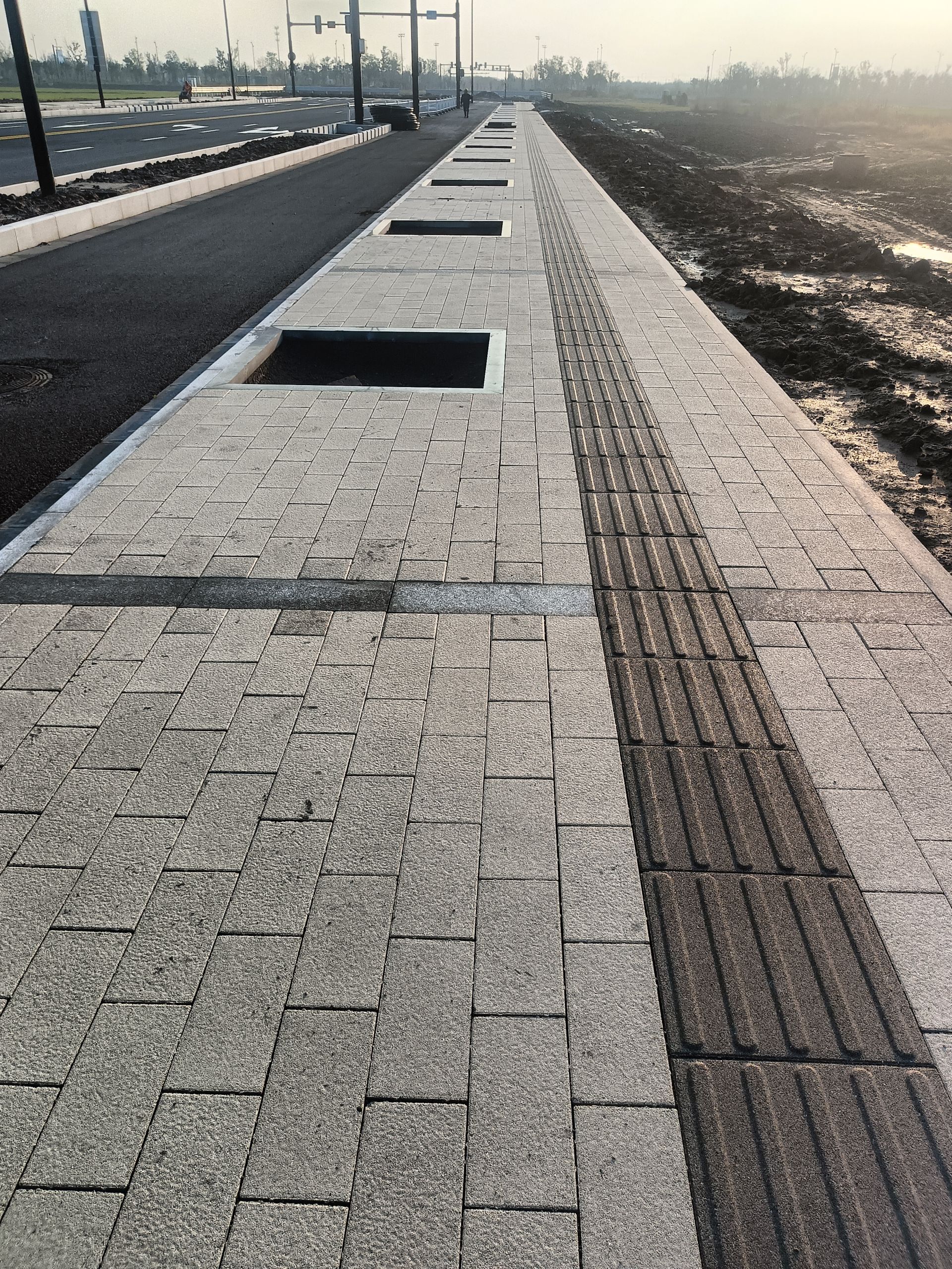 生物滞留池透水铺装过水暗涵三大技术措施组合盐南高新区新建梦棠路