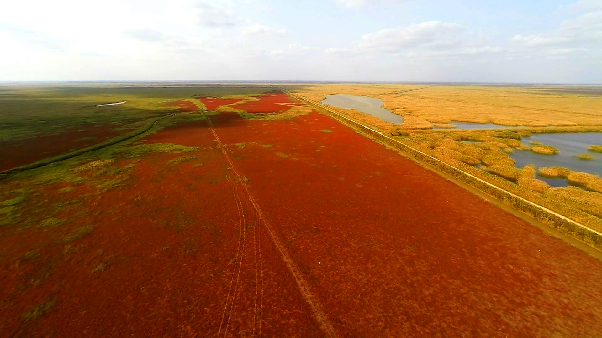 沿海滩涂国际湿地城市——盐城,被誉为中国"海上新能源第一城".
