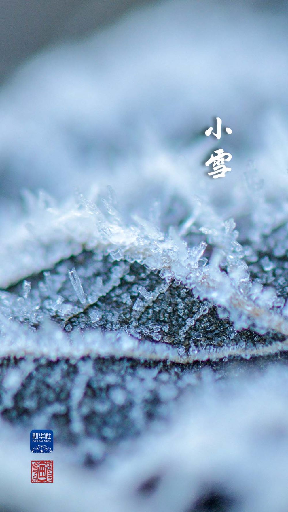 国宝画重点丨小雪节气和最配