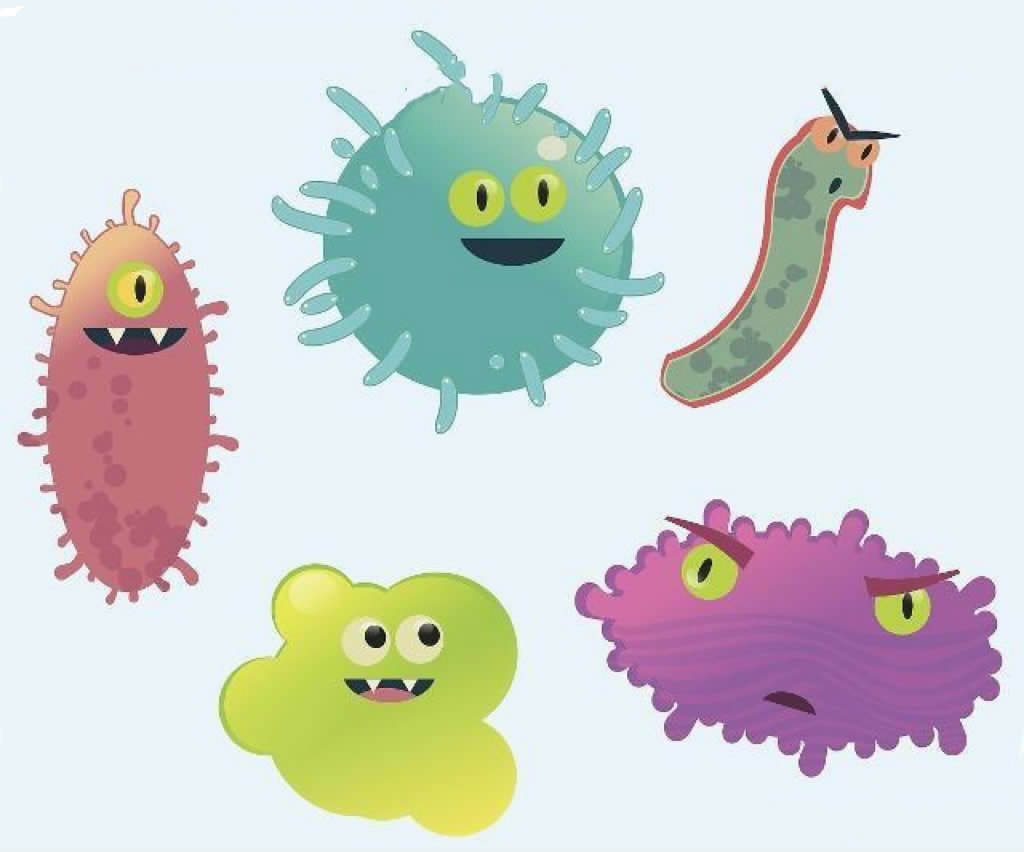 增强卫生意识远离病原微生物-盐城新闻网