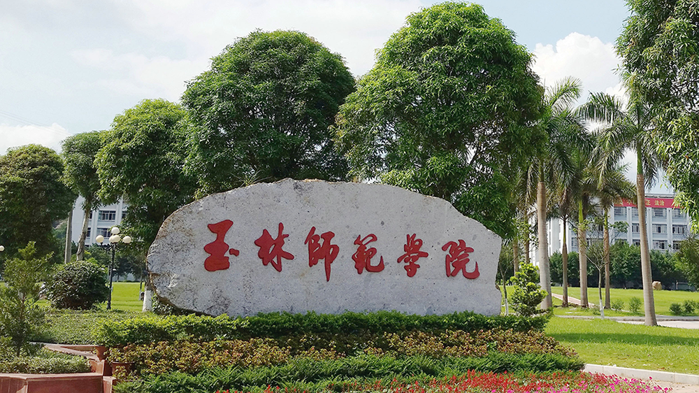 广西教育厅玉林师范学院暂不具备更名大学的条件