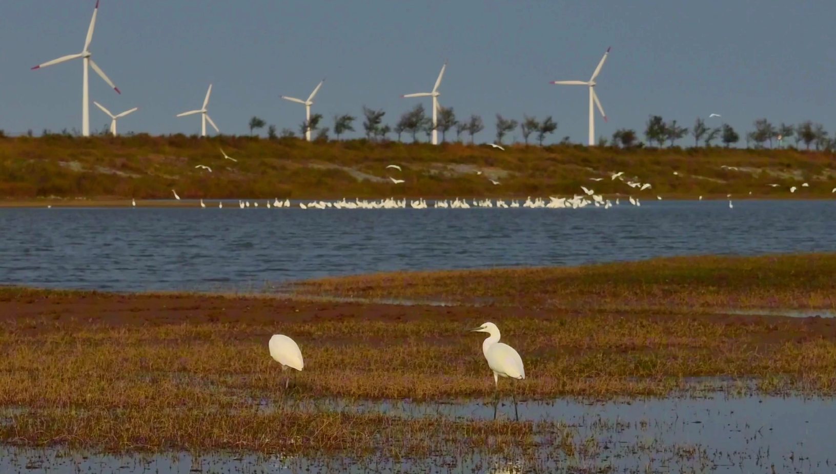 视觉江苏丨盐城大丰冬日剪影日出海湾