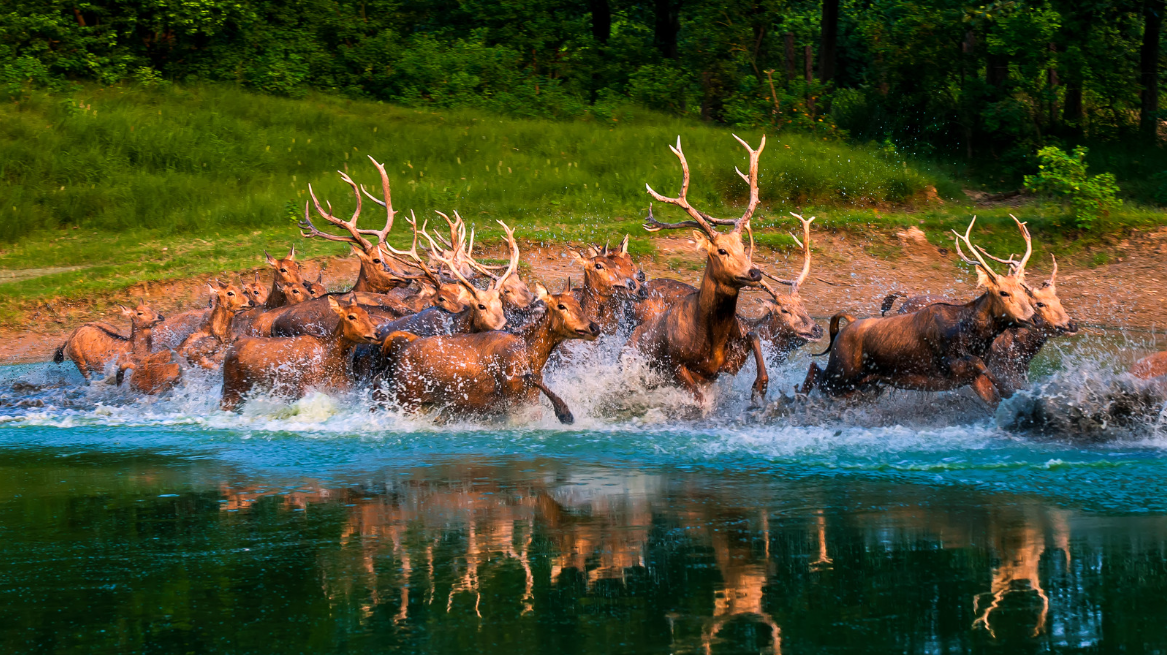 �����ϴ�...