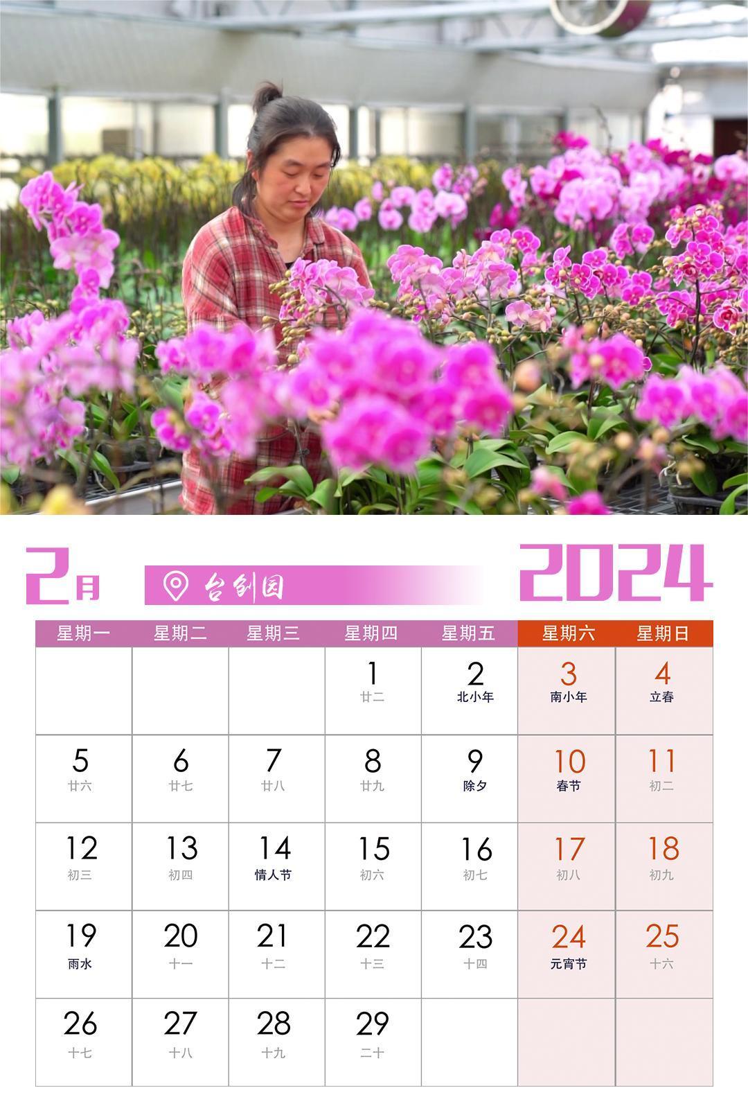 海报丨江苏盐城盐都2024绝美日历来了