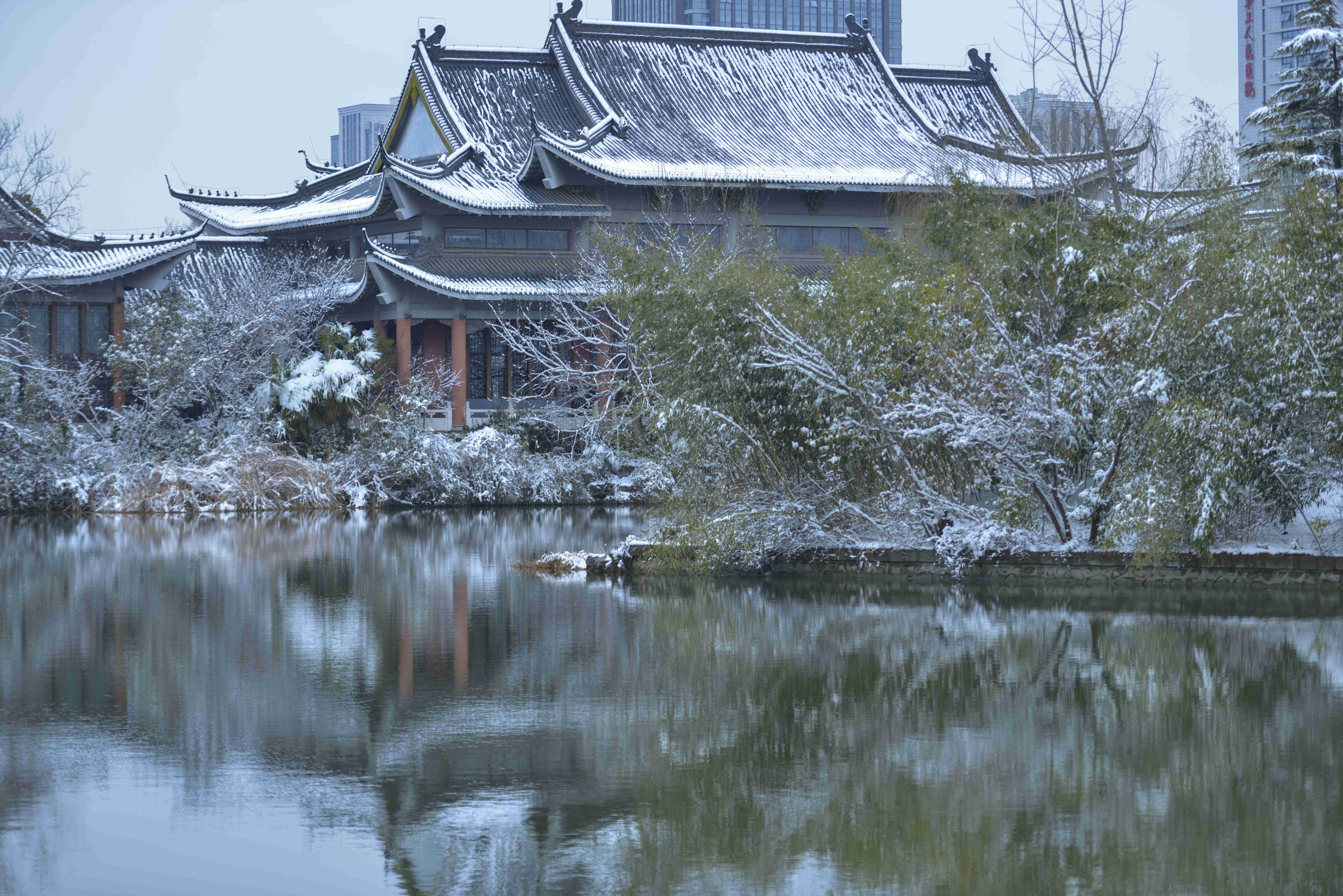 影像盐城丨盐城盐都世纪公园雪景如画