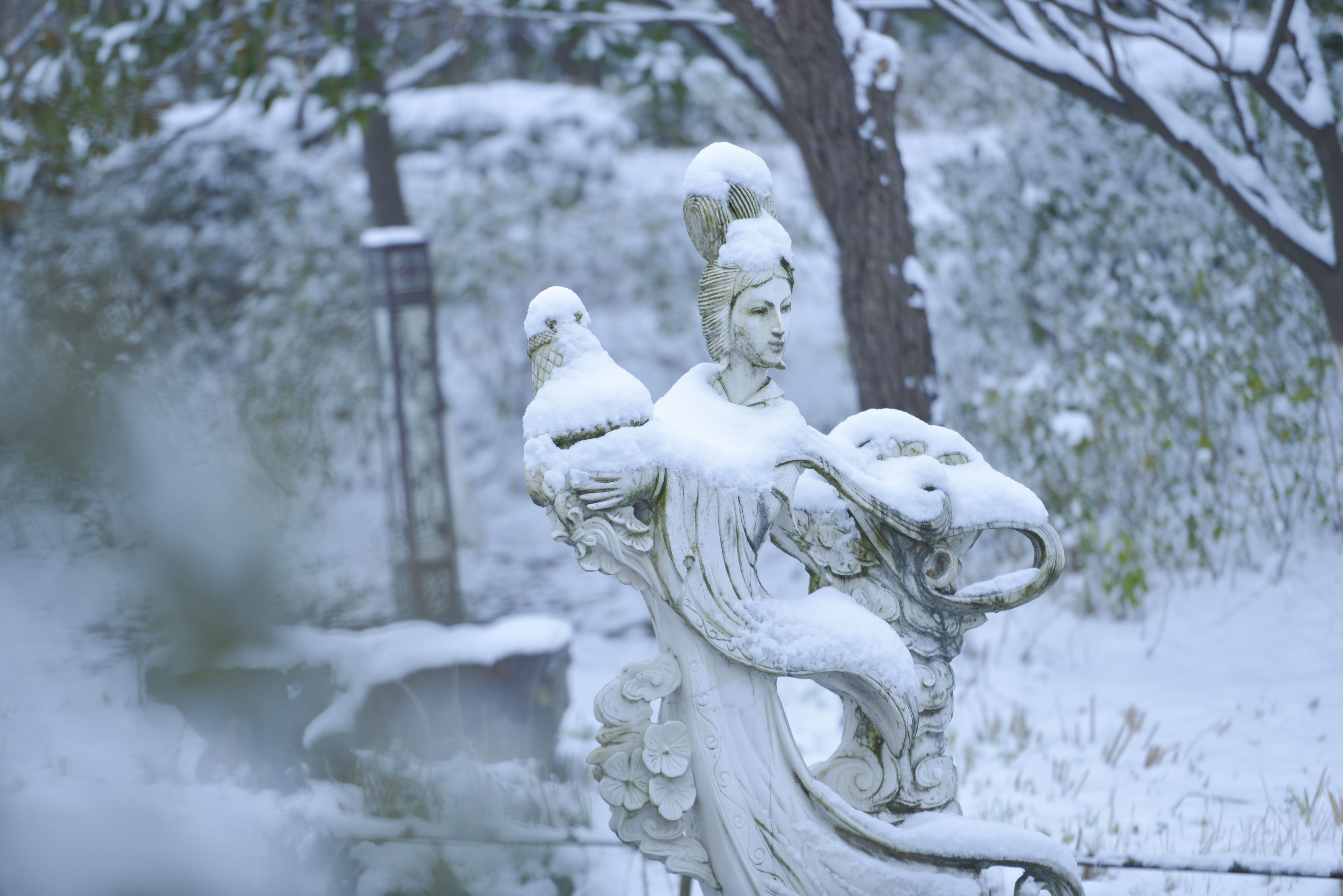 影像盐城丨盐城盐都世纪公园雪景如画