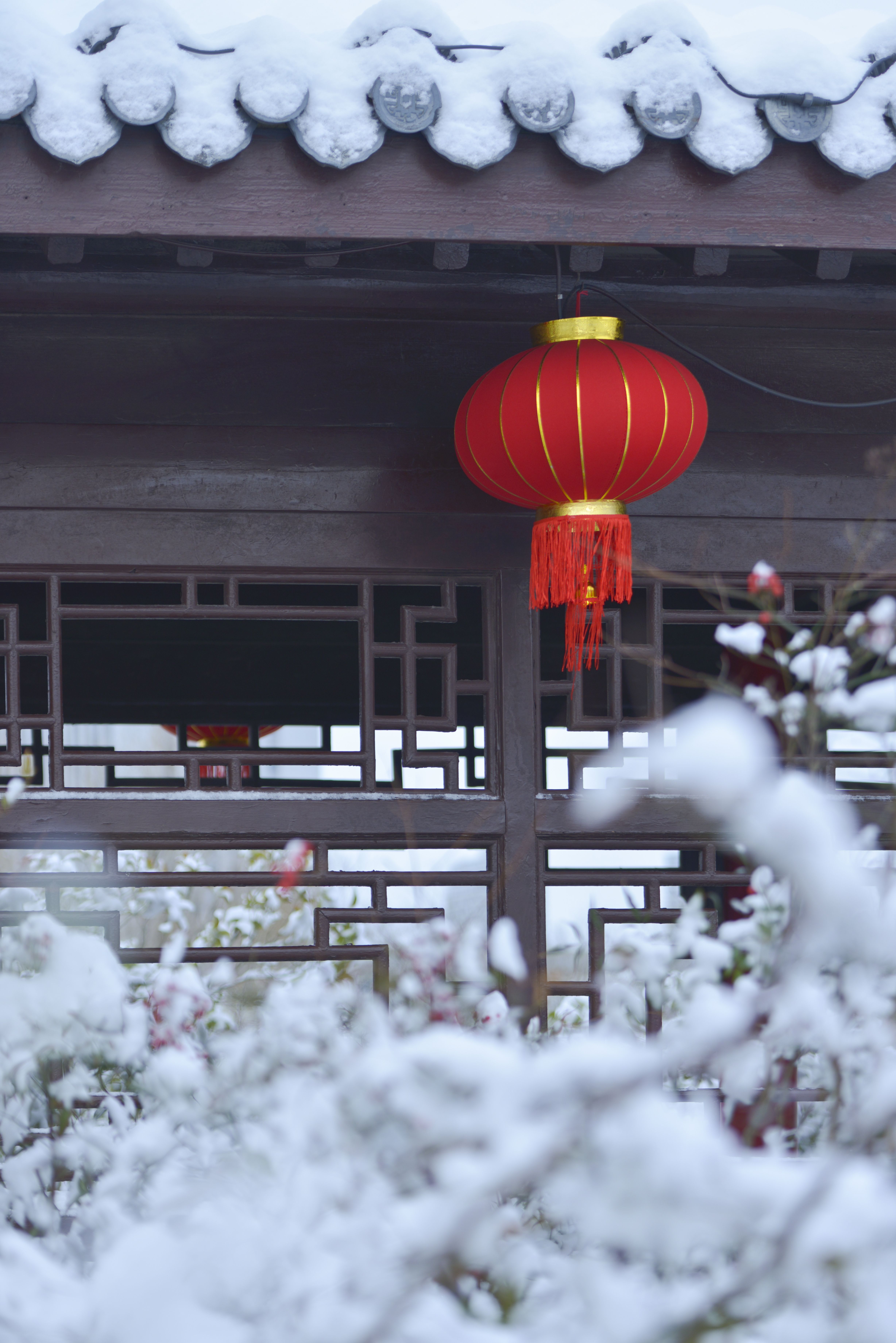 影像盐城丨盐城盐都世纪公园雪景如画