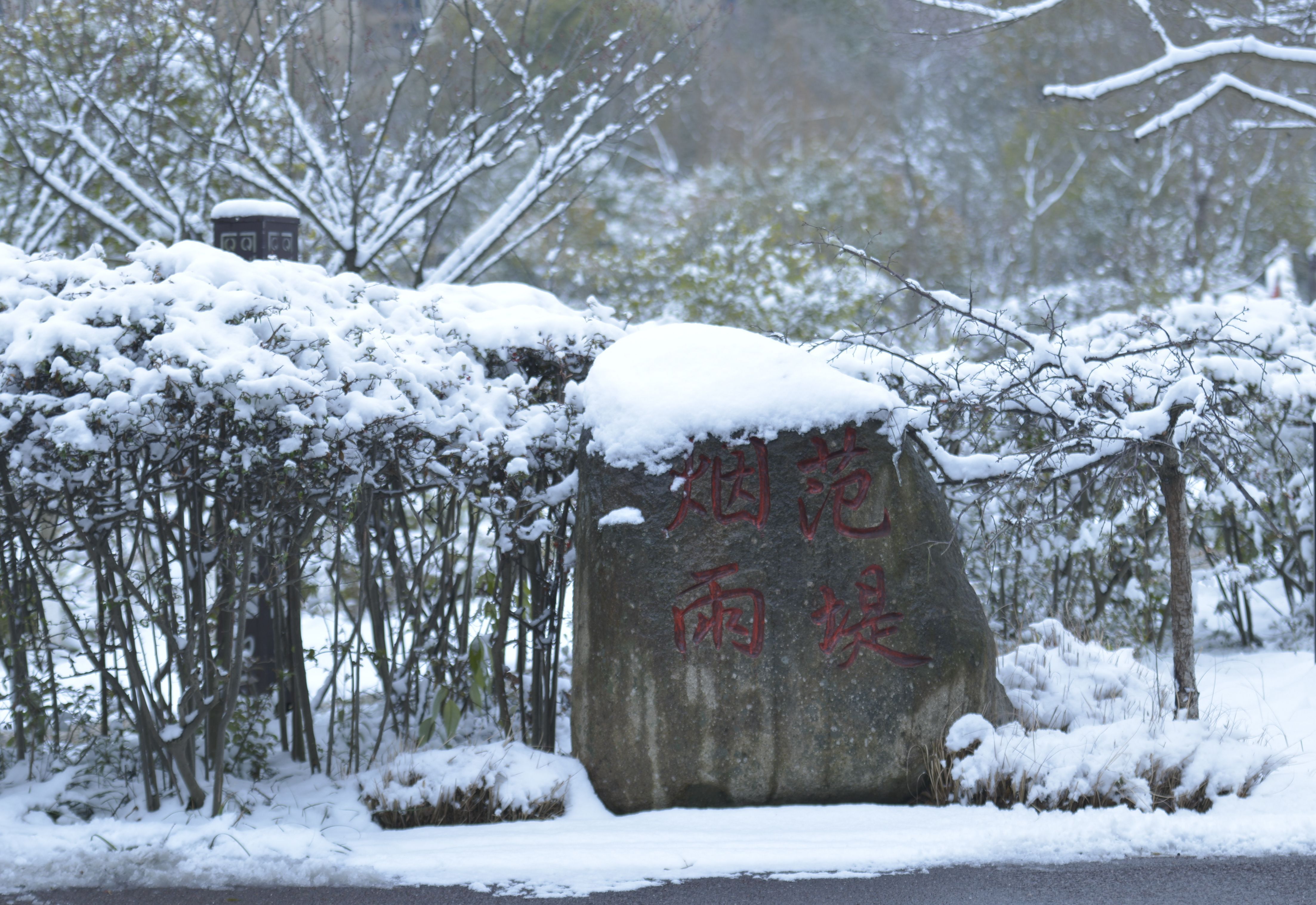 影像盐城丨盐城盐都世纪公园雪景如画