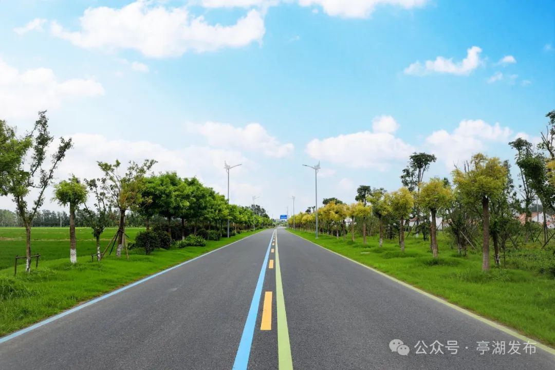 2019年创成"四好农村路"省级示范县.