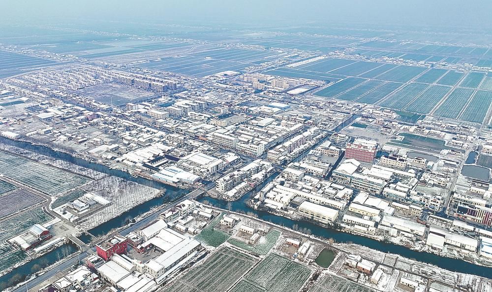 薪火传承守初心 接续奋斗绘新卷——走进大丰区新丰镇方强社区居委会-