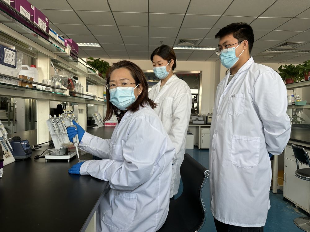 全国三八红旗集体中国农业科学院北京畜牧兽医研究所鸡遗传育种创新