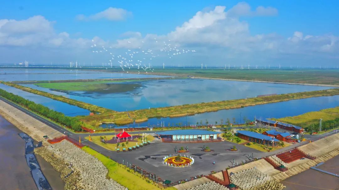 江苏射阳:昂首阔步!向海图强激活"蓝色引擎"-盐城新闻网