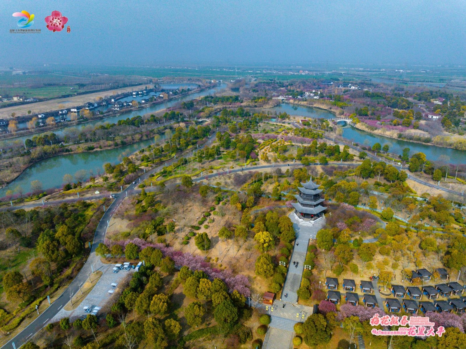 春光正好大丰梅花湾带你云上赏梅