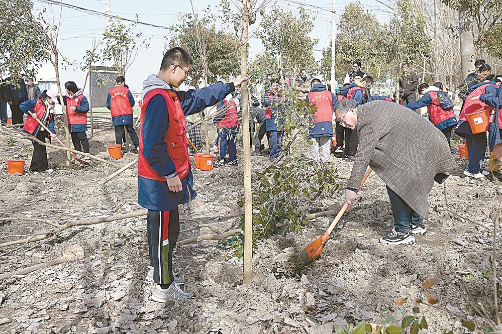 松江路小学师生种下"成长树".