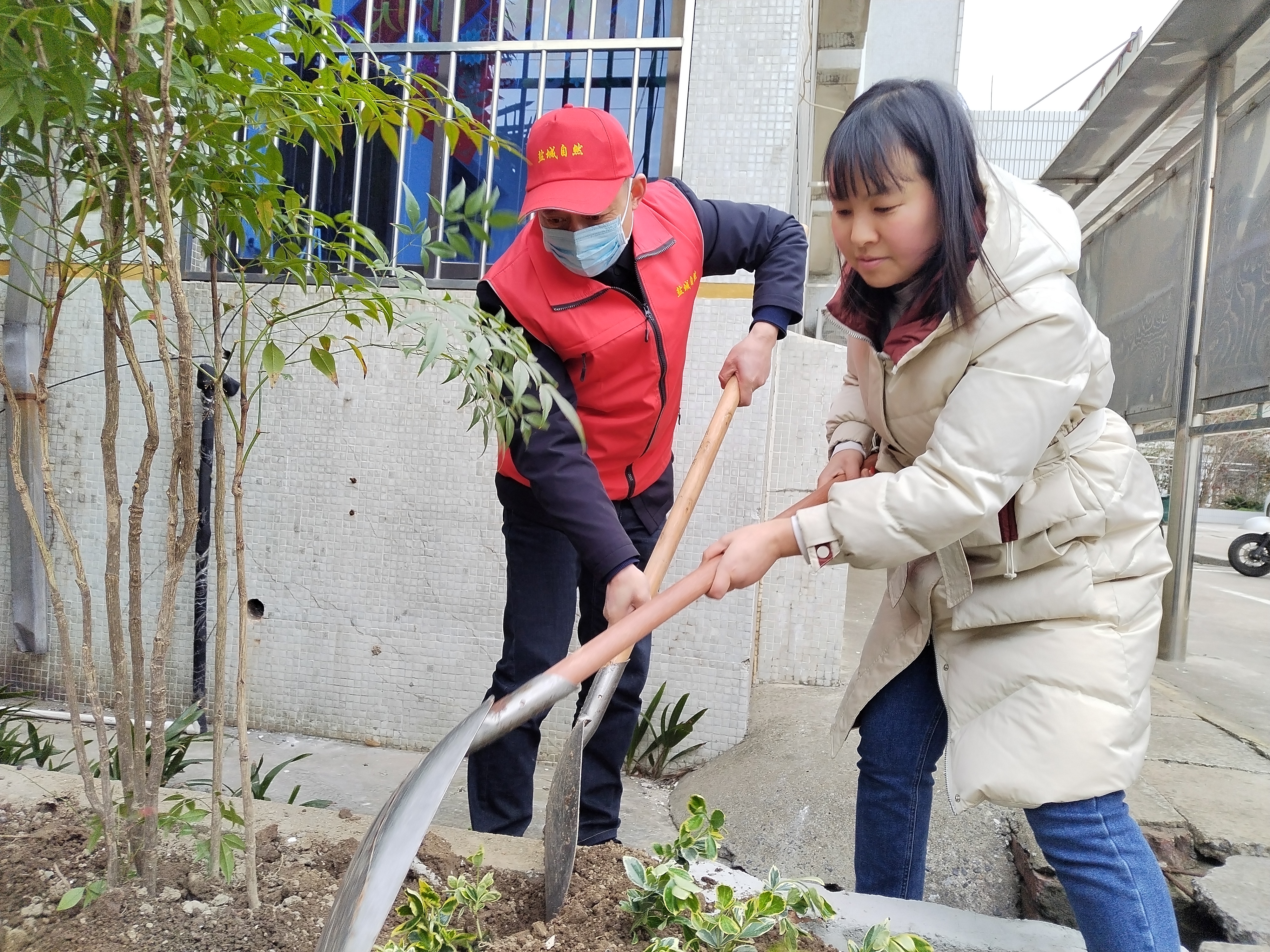 大洋街道海悦社区植绿护绿