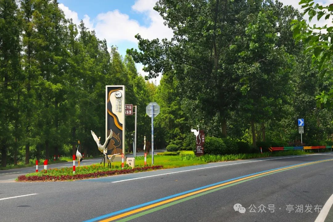 江苏亭湖全国示范四好农村路铺筑发展快车道