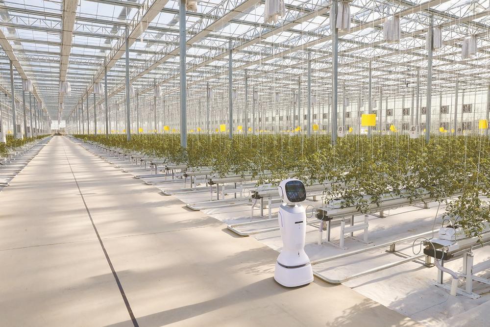 盐城全面深化改革为推动高质量发展注入强劲动力