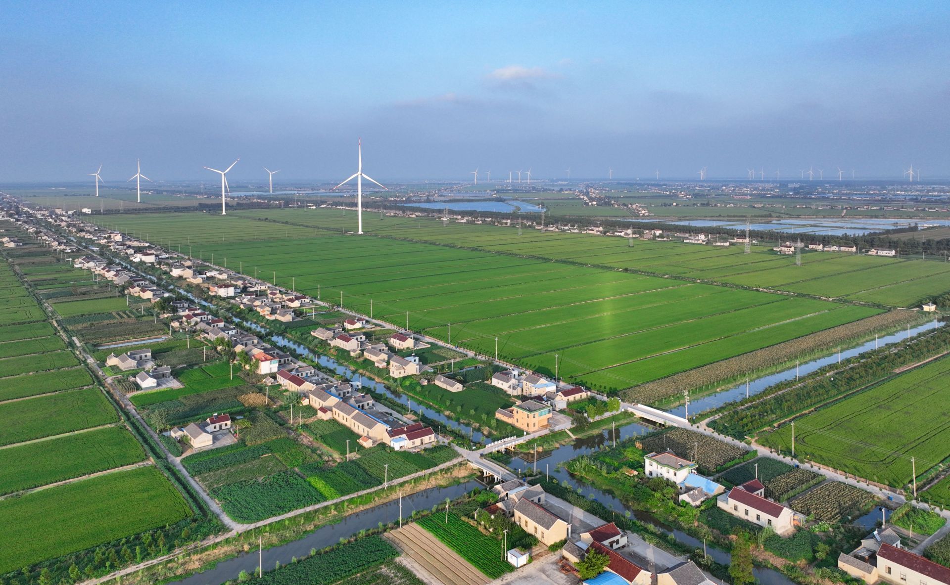 江苏大丰三个聚焦激活乡村振兴澎湃动能