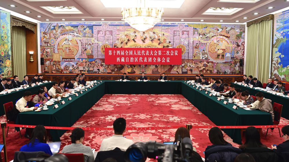 两会现场速递代表讲述亲历故事展现真实美好的西藏