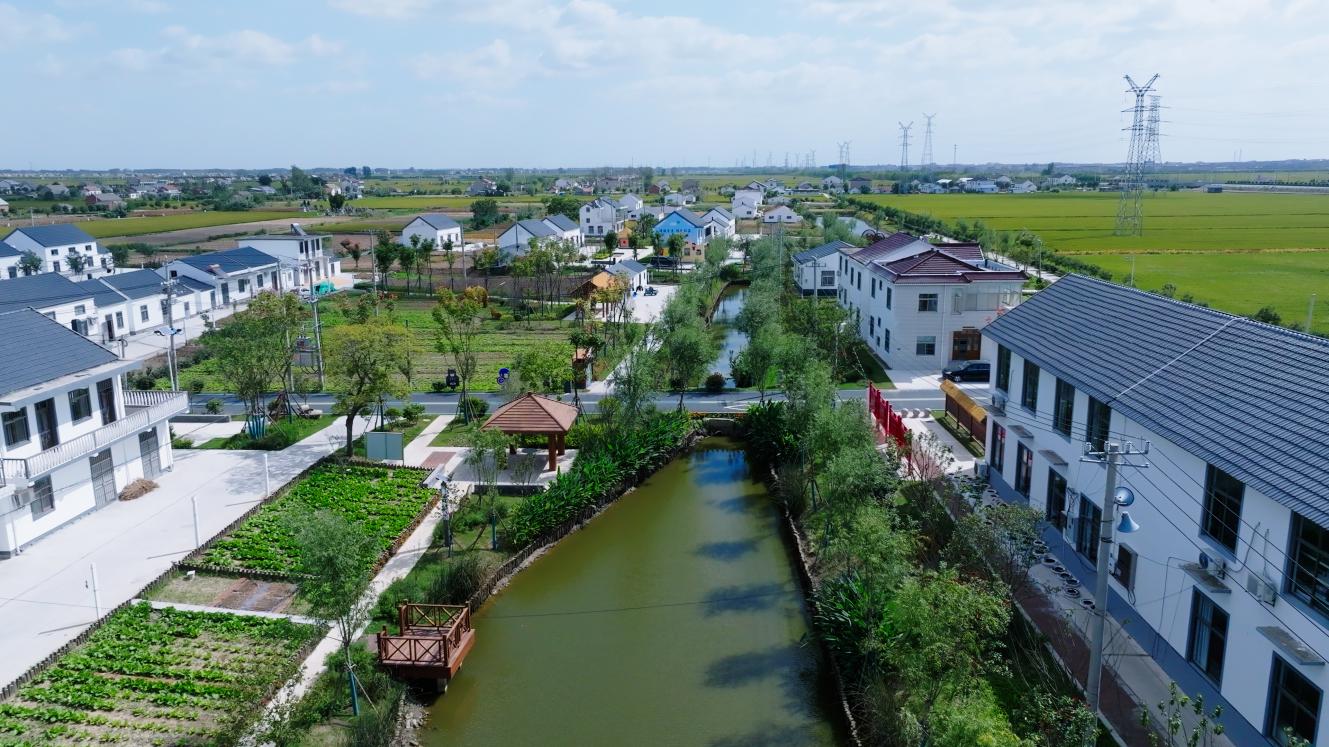 滨海县住建局全力推进农房改善行动