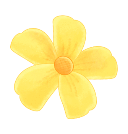 nice一条微信看遍盐城四季