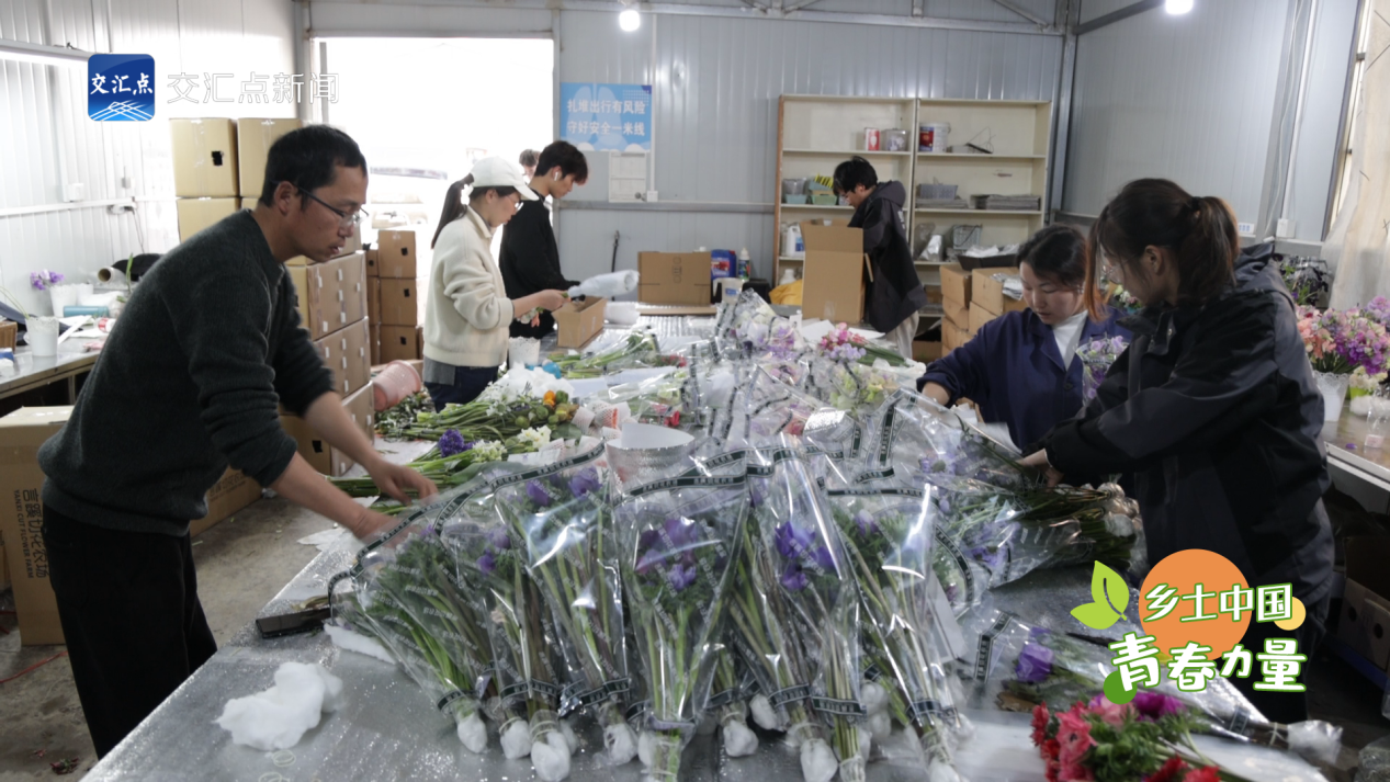 春田花花护花使者打拼记
